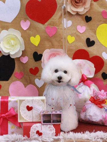 20230216チュッチュくん